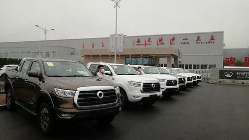 长城汽车捐赠多少